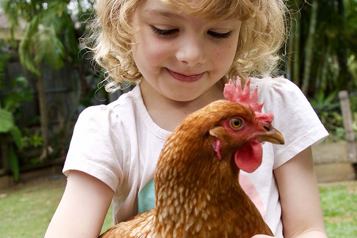 Kind mit Huhn auf dem Arm.